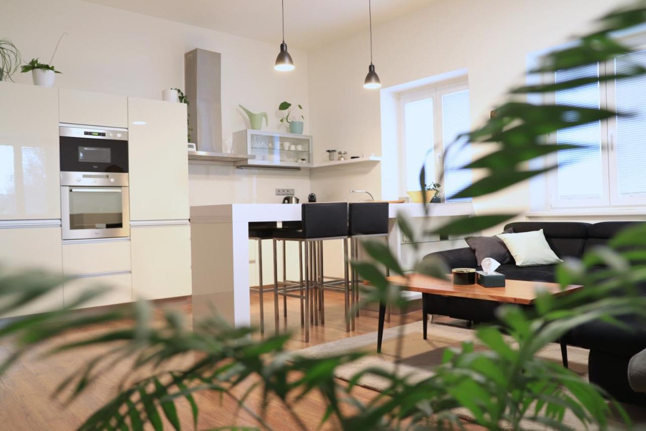 Apartment U Parku *